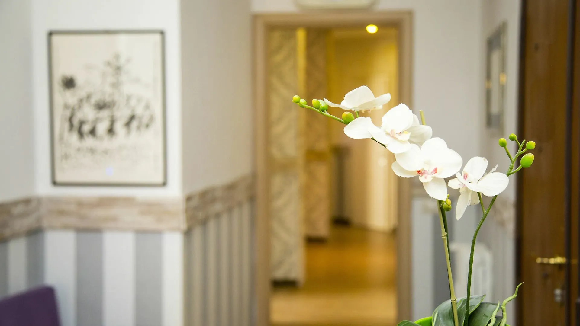 Santamaria Inn Rome 3*,  Italy